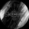 Shid260802's profile picture