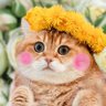 salaco's profile picture