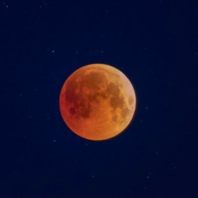 Dogdogfff's profile picture