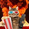 CATastrophe's profile picture