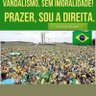Sandra Braga's profile picture