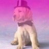 Profilbild von LeoLuna