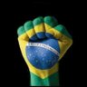 Nelson petitet's profile picture