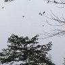 Фото профиля sandytweets