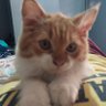 Miki Riring69 的头像