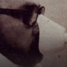 Feri Julito profil fotoğrafı