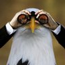 Profilbild von LibertyCrew
