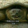 Фото профиля 꿀잠자라