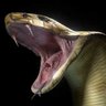 Фото профиля Snake Jaw
