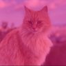 Miss Pepitagrillo 2 profil fotoğrafı