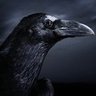 Profilbild von Nevermore