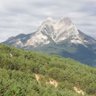 Фото профиля cescavina rusina🇷🇺🇷🇺