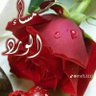 Profilbild von ابومعاذ ابومعاذ