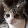 maristela mella marinho's profile picture