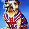 Nat Jack 🏴 🇬🇧🇮🇱 的头像