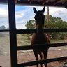 Winifred Fredrick's profile picture