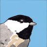 Profilbild von Skydler