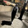 CallHimCoach's profile picture