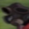 freak's profile picture