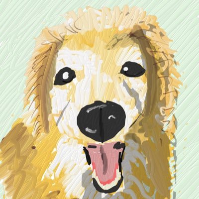mkitano1's profile picture