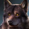 Фото профиля Sigma Wolf