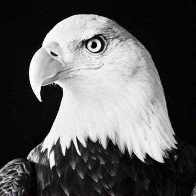 Brandon Lee Gowton's profile picture