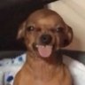 Mikehack's profile picture