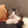 Profilbild von まーニャ