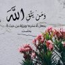 محمد profil fotoğrafı