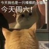 Profilbild von 早点见面馆