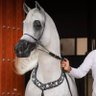 غــاية🐎's profile picture