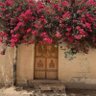 انسان 💐's profile picture