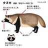 Profilbild von tanukichi202211