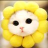 GalaxyMeow profil fotoğrafı