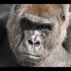 IXT62961634's profile picture