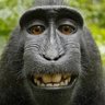 Reiss's profile picture