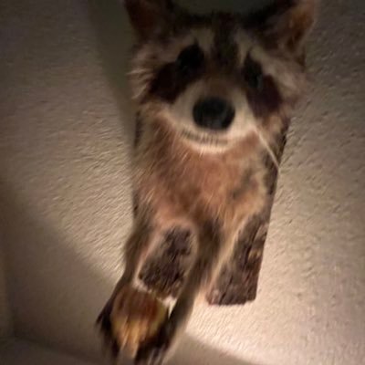 mayfer's profile picture