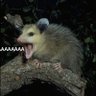 Aaaaaaah's profile picture