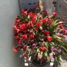 Фото профиля ETP