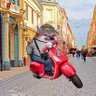 Фото профиля Vespafella 🇪🇺