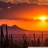 Sonoran profil fotoğrafı