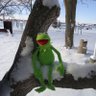 Marty's profile picture