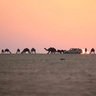 Фото профиля أبو نايـف