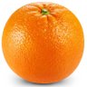 Profilbild von vilse