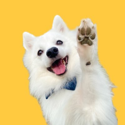 ぽぽ's profile picture
