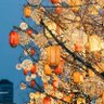 luce.btc 的头像