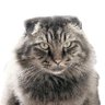 たけ's profile picture