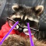 Profilbild von Tank the Beam