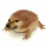 Profilbild von keke