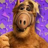 alf1972 的头像